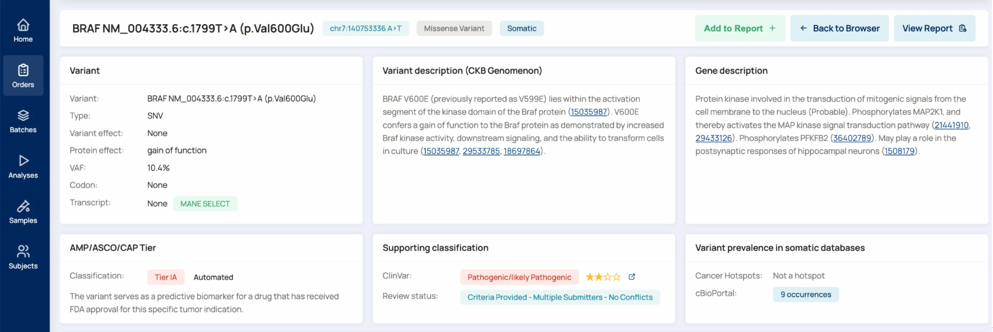 A VariantMINER report view showing a BRAF V600E variant's AMP/ASCO/CAP tier, supporting classification and prevalence in somatic databases