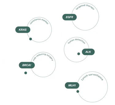 A cluster of oncology genes the platform reports on: EGFR, KRAS, ALK, BRCA1 and MLH1
