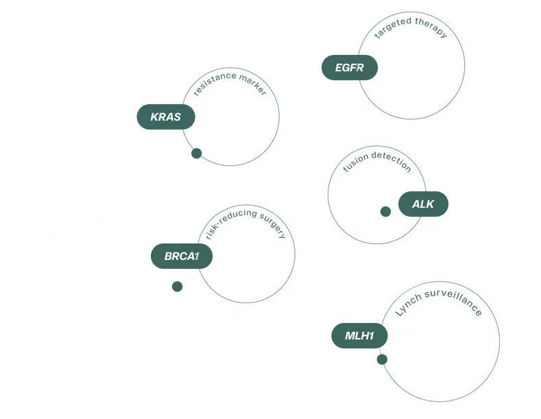A cluster of oncology genes the platform reports on: EGFR, KRAS, ALK, BRCA1 and MLH1